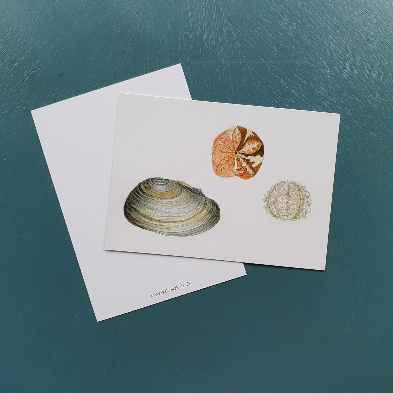 Postkarte A6 "Strandschätze", Fr. 3.--