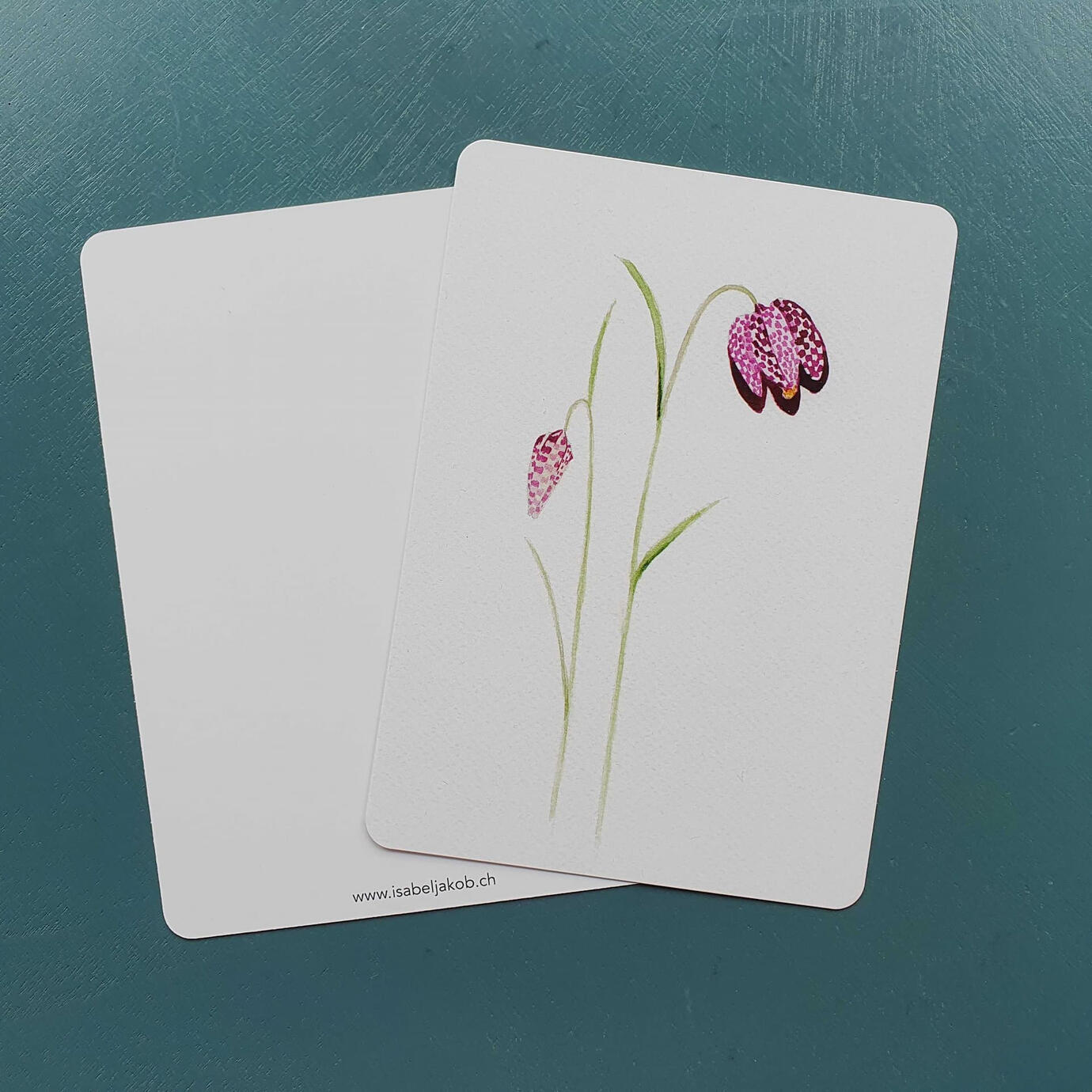 Postkarte A6 "Fritillaria", Fr. 3.--